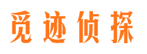 定安商务调查